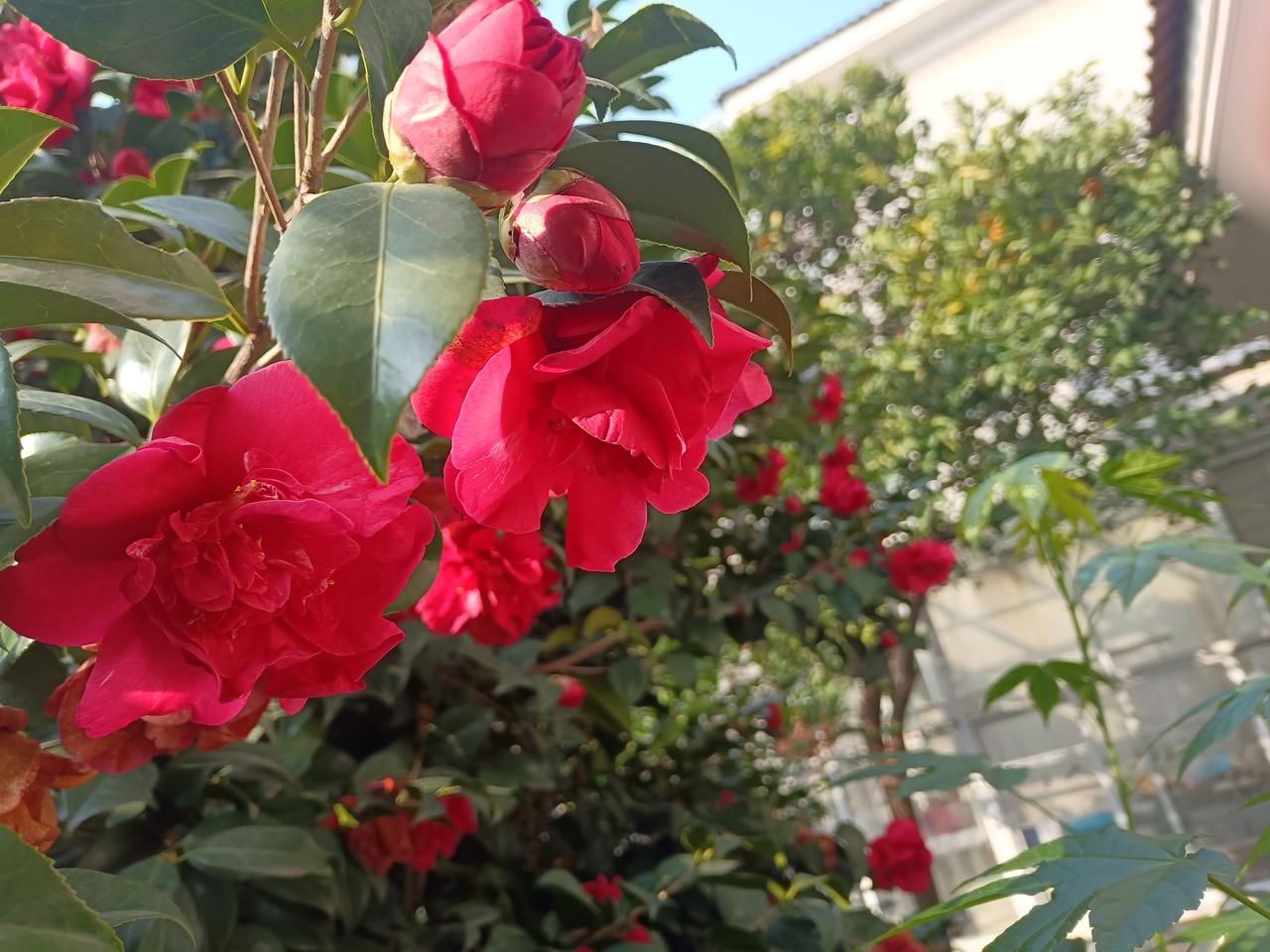 每日分享一句人生感悟