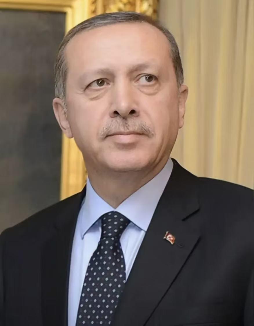 战争打到第12天，土耳其总统埃尔多安终于忍不住了，公开喊话：赶紧停火，别把整个地