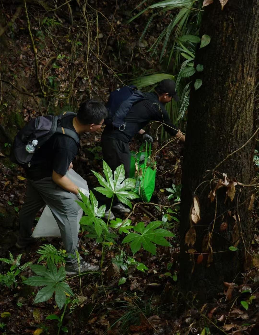 春日杭城涌动环保热潮，市民、商户、志愿者同心聚力，植树添绿、清理河道、规范分类垃