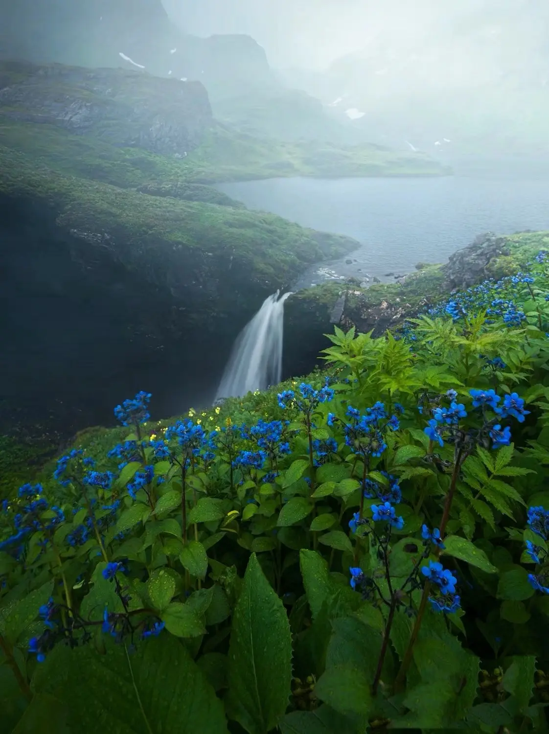 7月川西，8月云南，我陪你一起走遍～