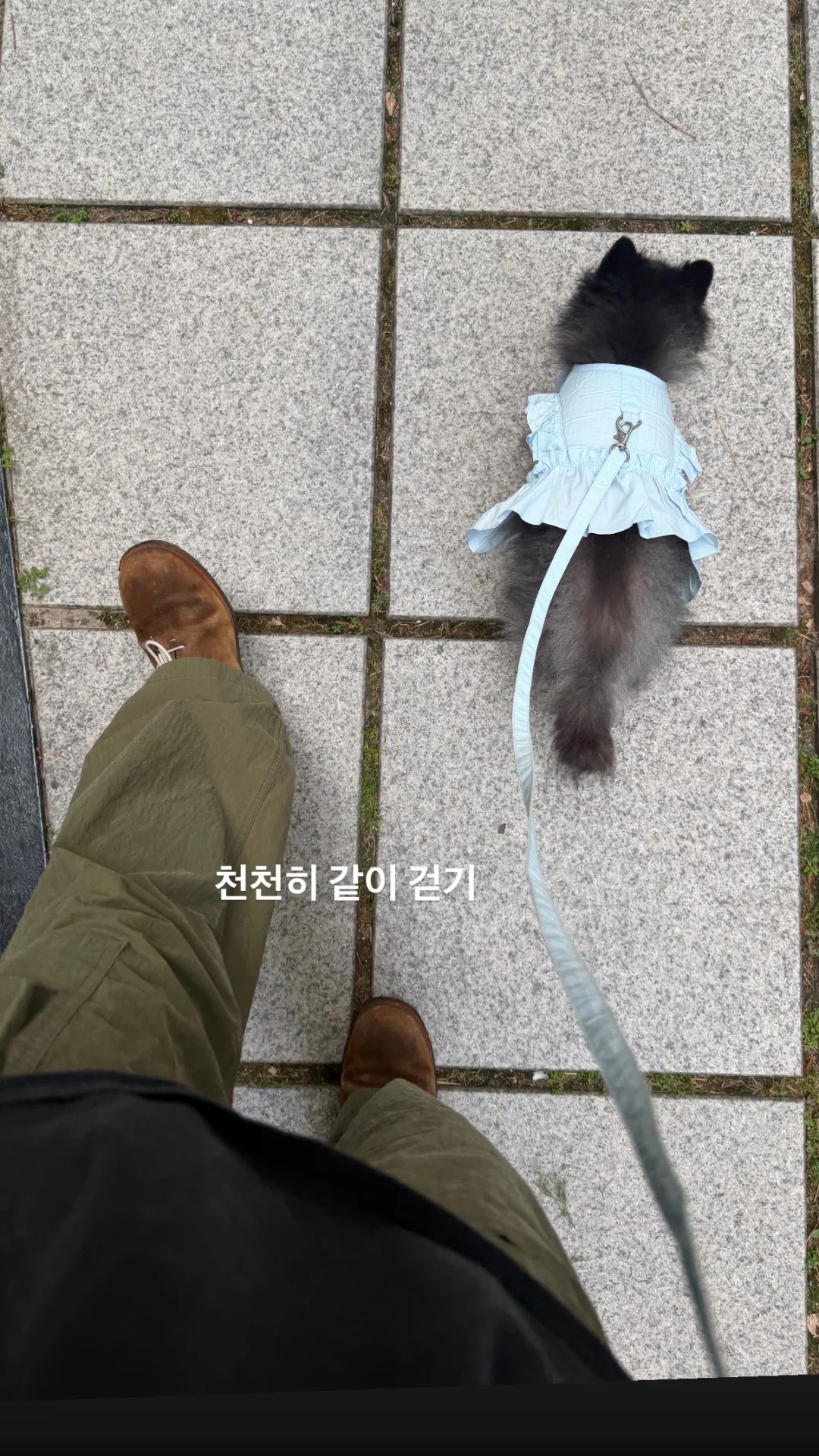 小不点一起慢慢走～