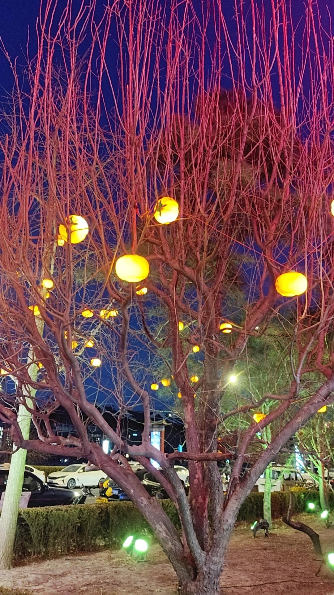 今年冬天的不同春节越来越近了，大街上已装拌的花枝招展，年的韵味越来越浓。友友们春