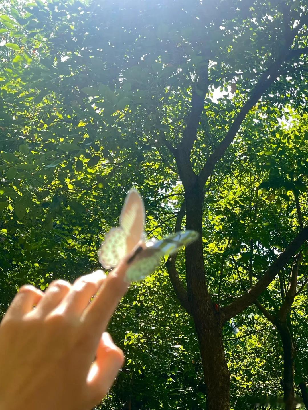 不要因为猎奇去看某些电影  刷某音评论区，有人提到一部塞尔维亚的电影，感觉好奇去