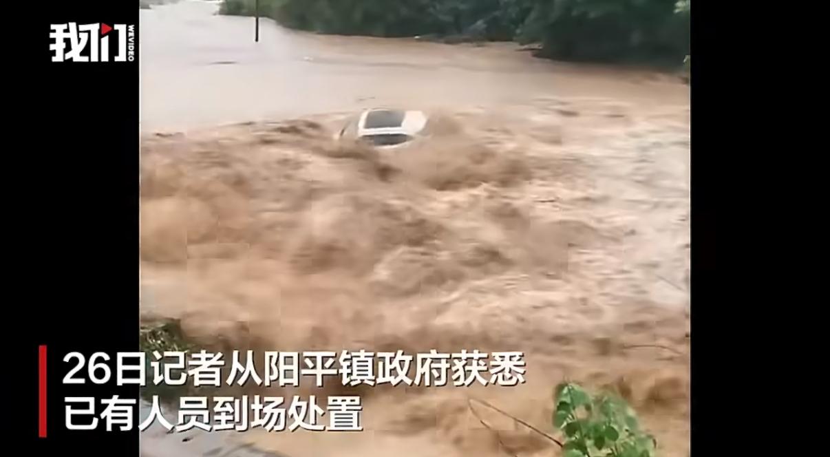 谁能想到！一场暴雨引发的惊险意外，堪称现实版“死里逃生”，全程看得人心跳狂飙，结