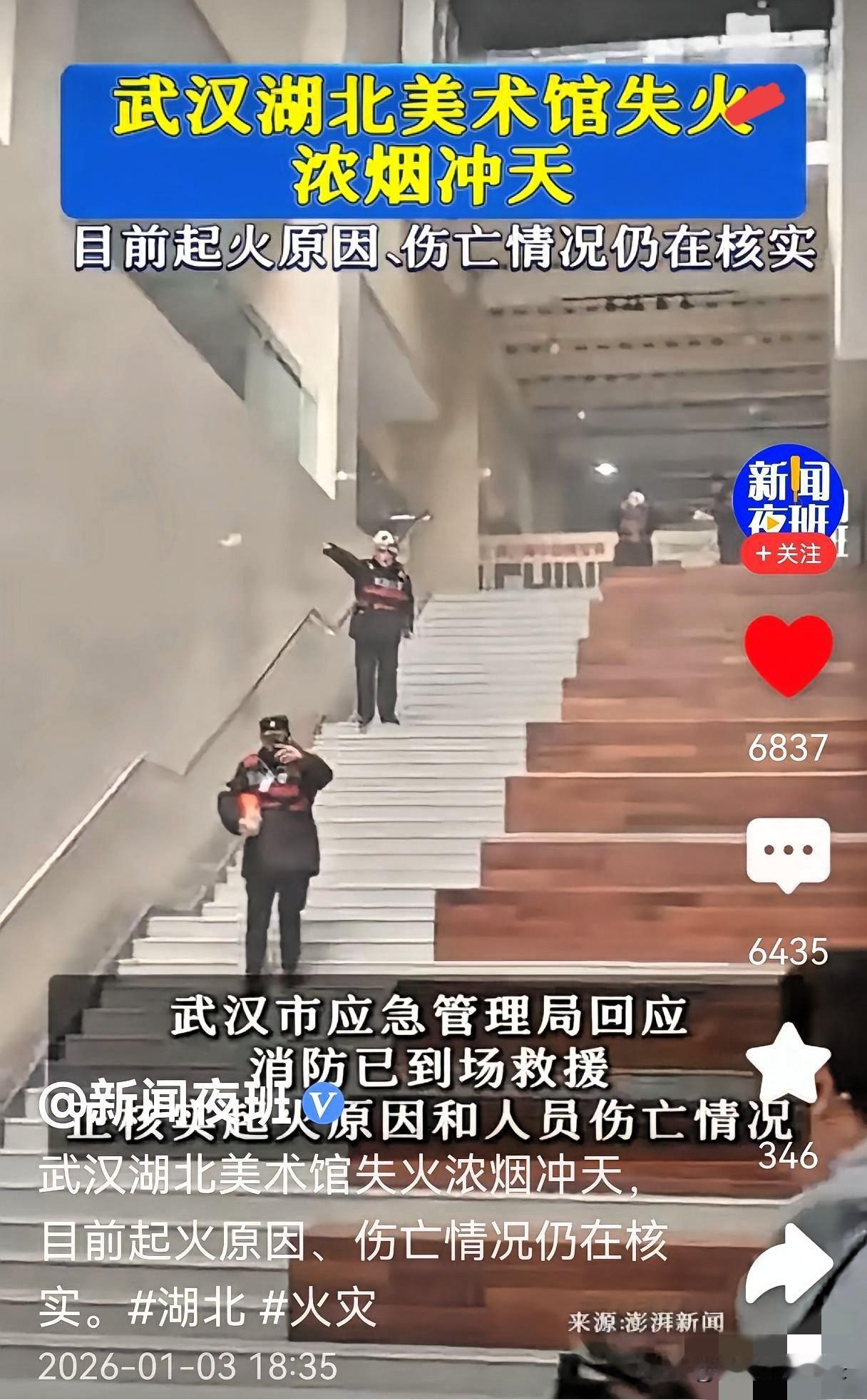 湖北美术馆这一把火，烧得真是太“懂事”了，比好莱坞编剧都会卡点。

前脚南京那边