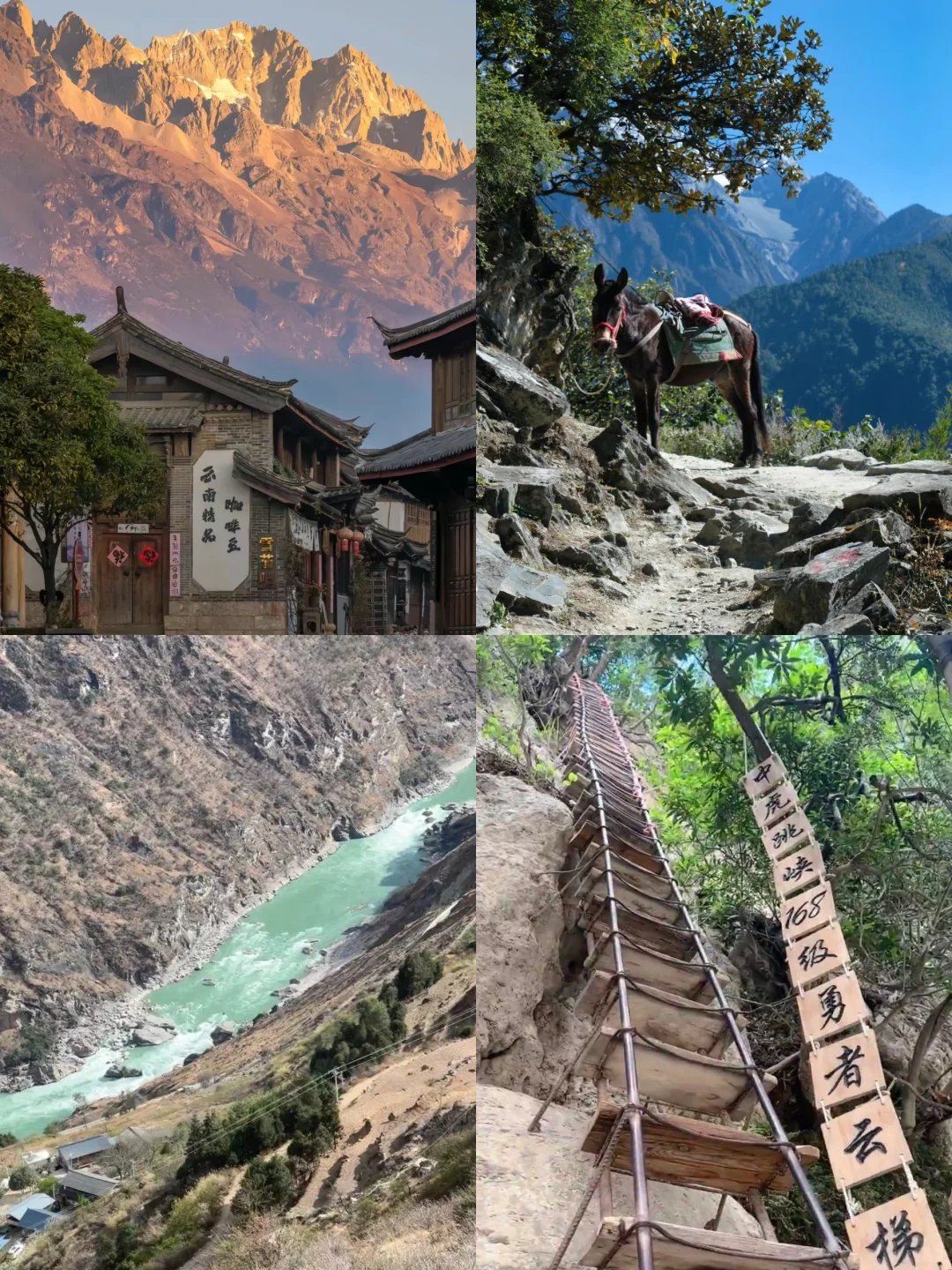 虎跳峡⛰️慎入🫢，一次徒步，终生难忘❗️会……