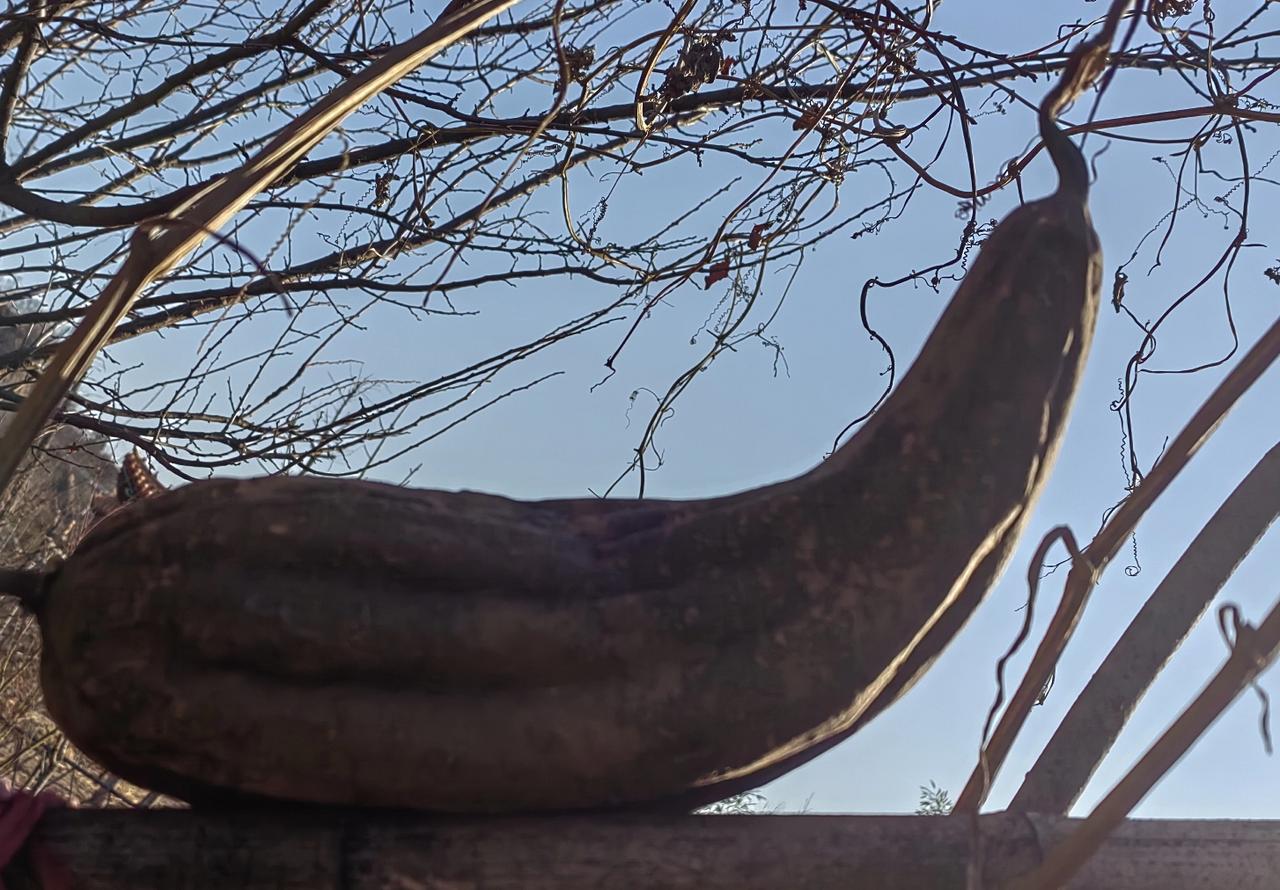 明清松山会战，如果崇祯按照洪承畴的思路来，不一味的逼和催，未必就一定取胜，因为清