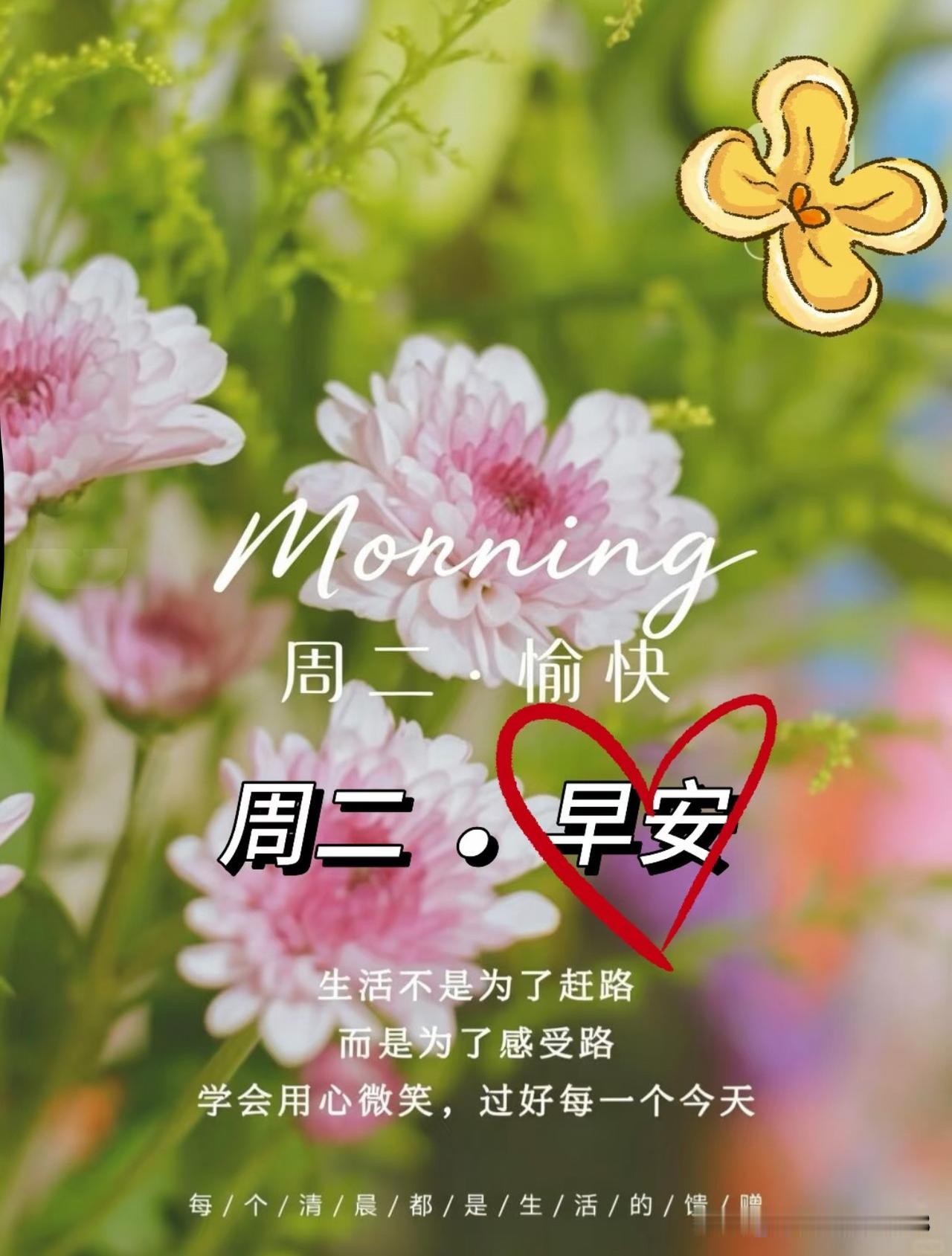 ²⁰²⁶/₀₉.₁₅🌸 𝙂𝙤𝙤𝙙 𝙈𝙤𝙧𝙣𝙞𝙣𝙜 🌸ᥫ