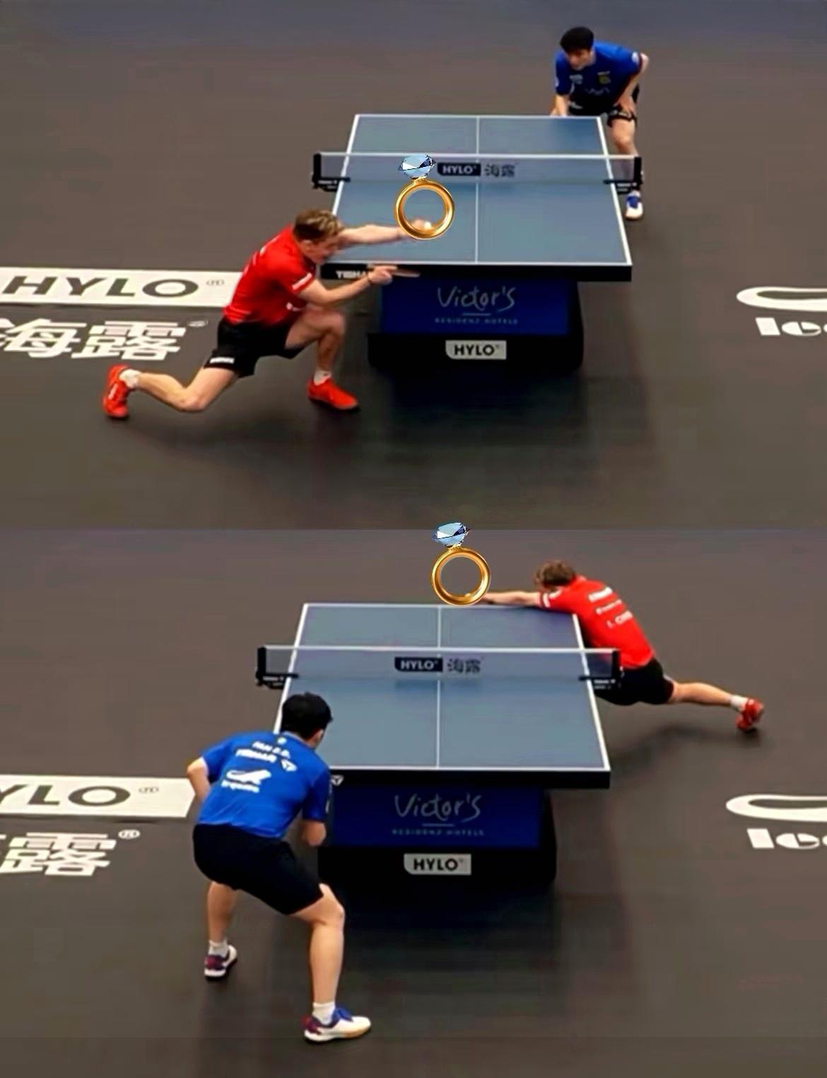 被“求婚”的🐼期待真王归位全国人民都想樊振东回来打球樊振东为国争光的决心毋庸置