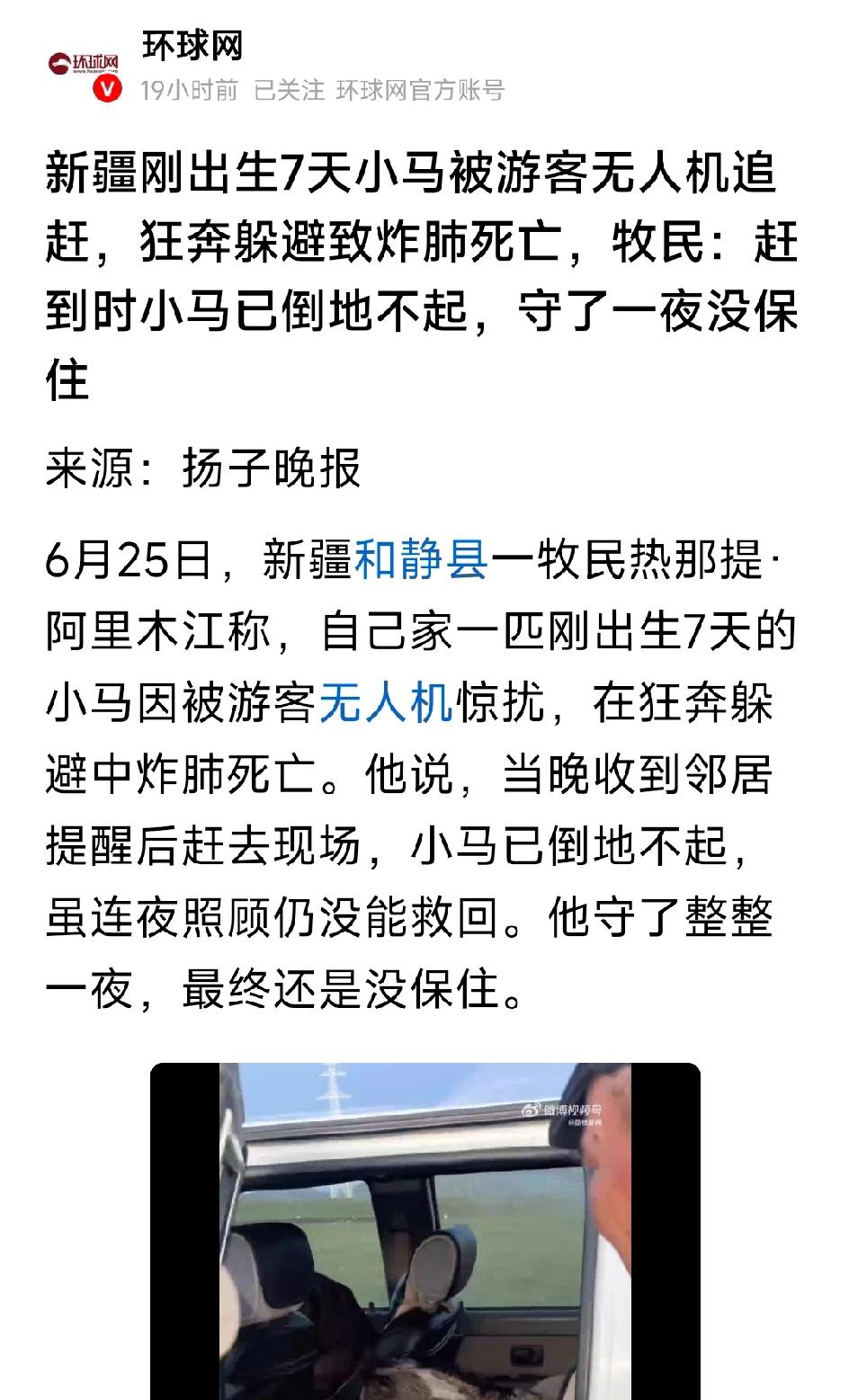 刚出生7天小马被游客无人机追赶，狂奔躲避致炸肺死亡，牧民：赶到时小马已倒地不起，