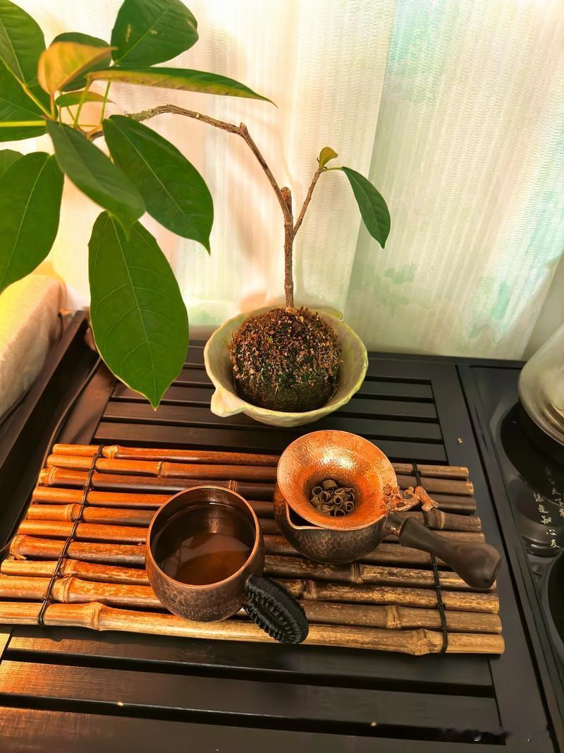 休息日增加半日，周末出行有了新选择？

吉林政协委员一句“推行每周四天半工作日”