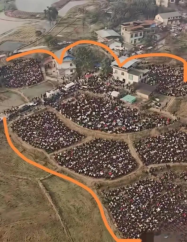 呆呆家所在的重庆合川，藏着一块百年难遇的莲花地。

宅旁沼泽环绕，水力充沛，正是