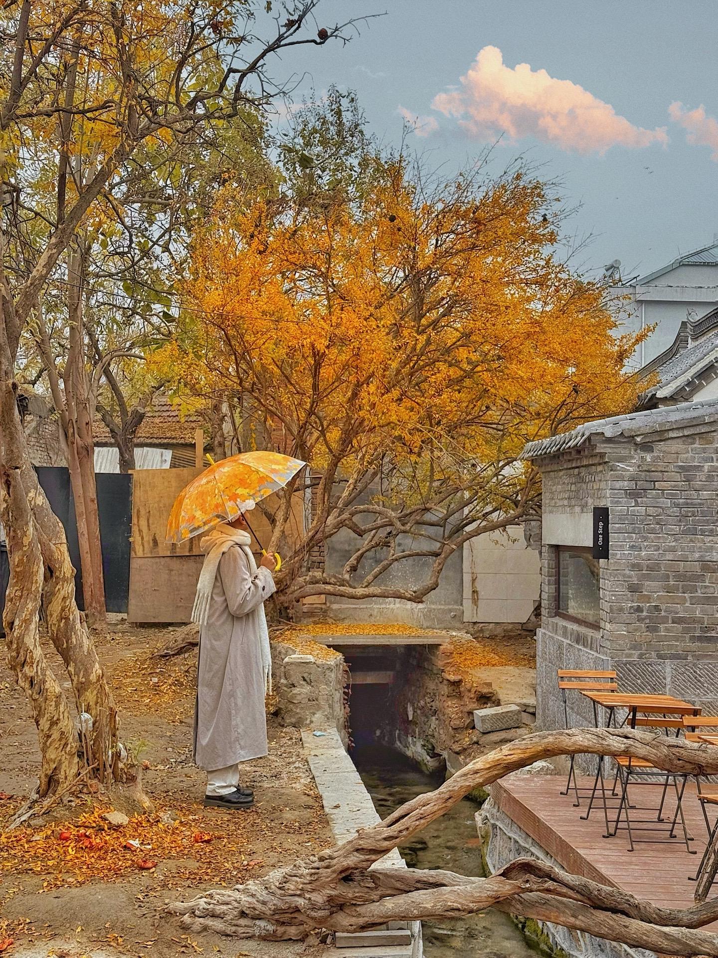 人生建议❗️走过这几条老街 才算来过济南。秋天的济水之南 如同晕染在宣...