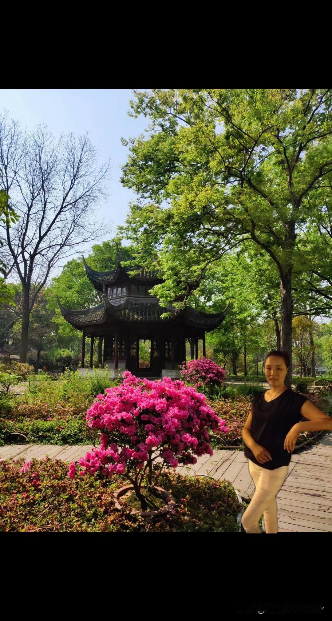 踏上苏州的土地，仿佛一脚迈进了一幅古雅的水墨画中。这座城，有着说不尽的诗意，道不