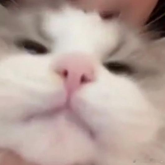 困困小猪生日快乐呀 