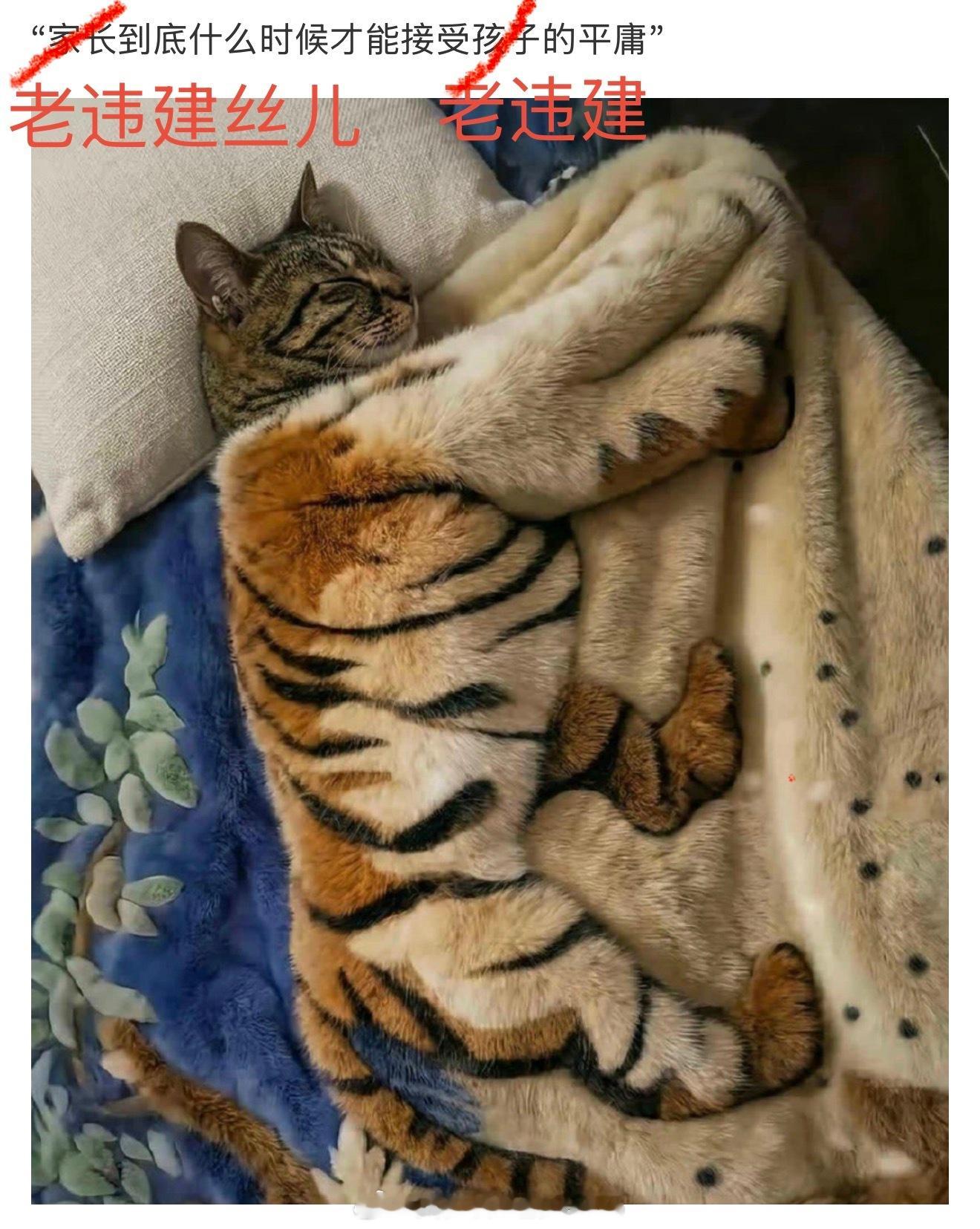 嗯。 
