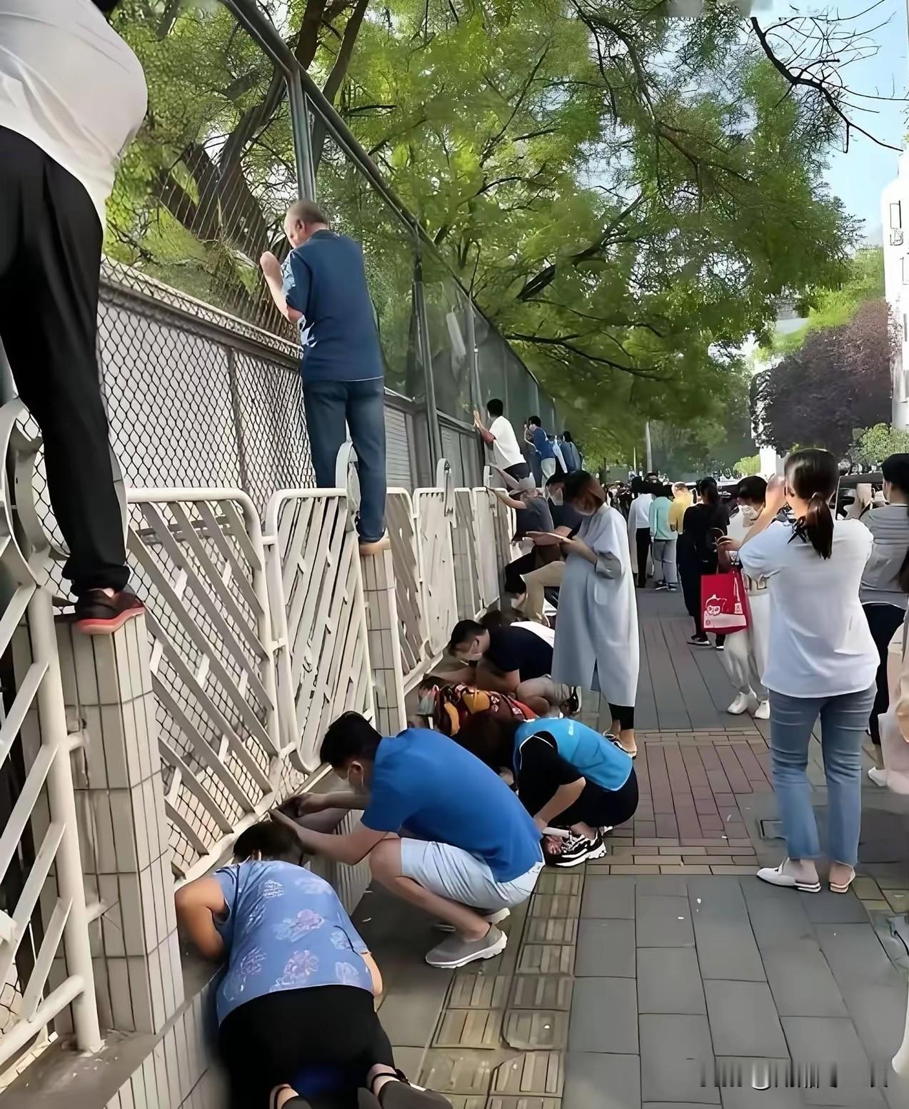 邻居家的小孙女朵朵，今年9月1日上小学一年级，送孩子到校后，爷爷奶奶一直不肯离开