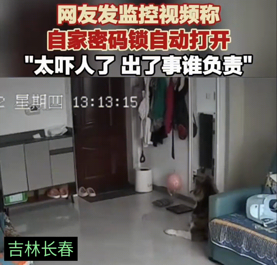 近日一位吉林长春的女士，离开家的时候房门是关着的，门用的密码锁，因为家里有狗所以