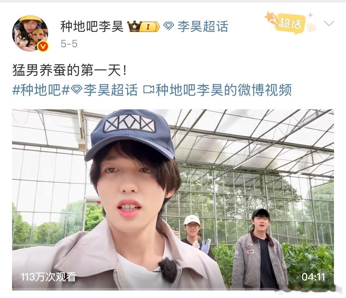 利好：日更vlog博主说更就更！猛男养蚕连更三天，高产呀！李昊日更vlog博主李
