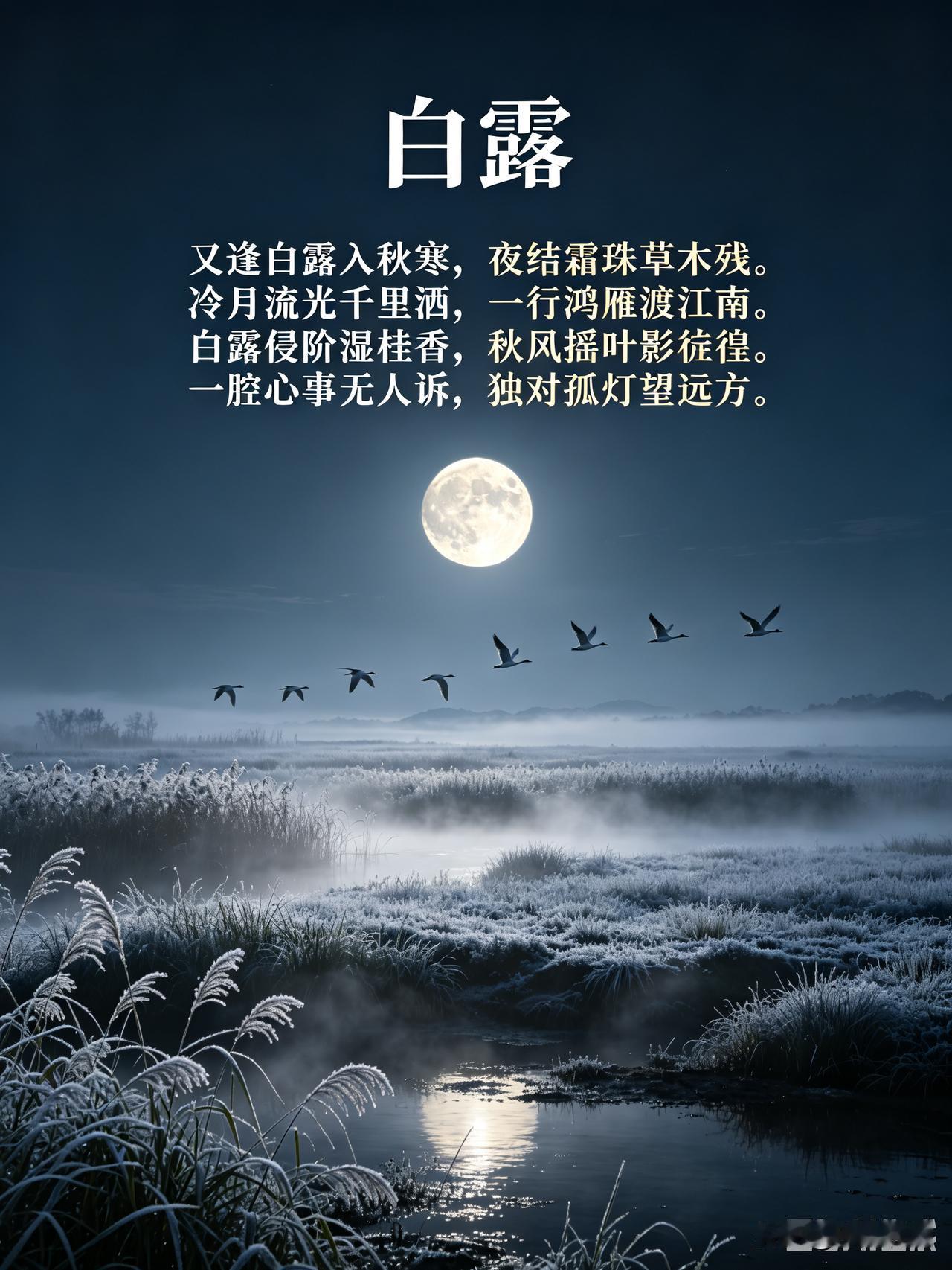 《白露》乐韵晓诗原创诗词:
又逢白露入秋寒，
夜结霜珠草木残。
冷月流光千里洒，