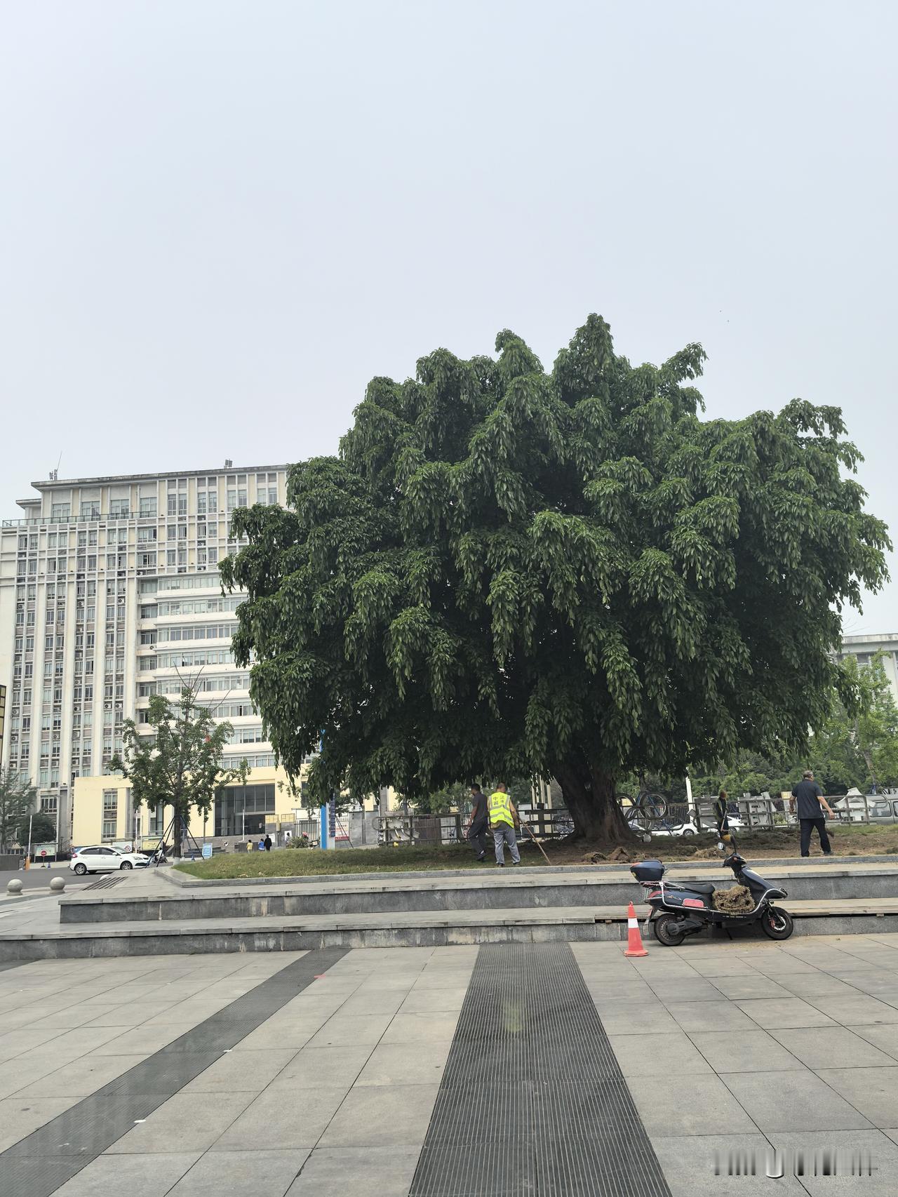 我还能理解一个母亲的愧疚之情。
王花花说她结婚很早，带娃很早，离婚也很早。她离婚