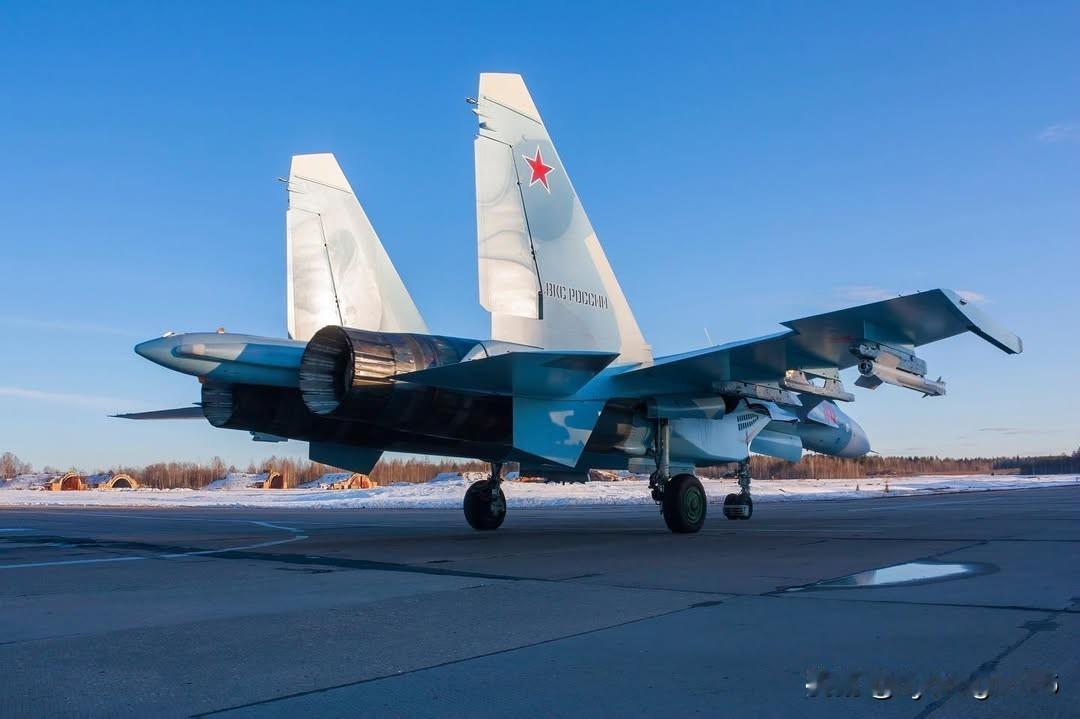 🇷🇺一架俄罗斯空天军苏-30SM重型多用途战斗机停在机场。

该机配备鸭翼和