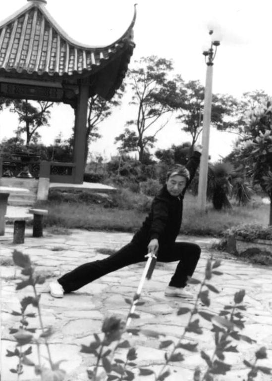 蔡桂勤(1877—1956)字拙亭，济宁市任城区喻屯镇蔡桁村人。出身武术世家，师
