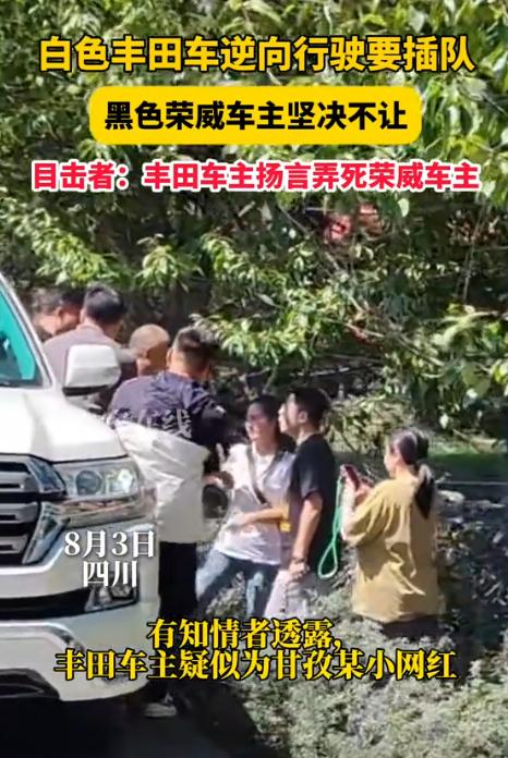 “严查到底！”四川，一辆国产车在路上正常行驶时，突然出现一辆大型日本越野车，车主