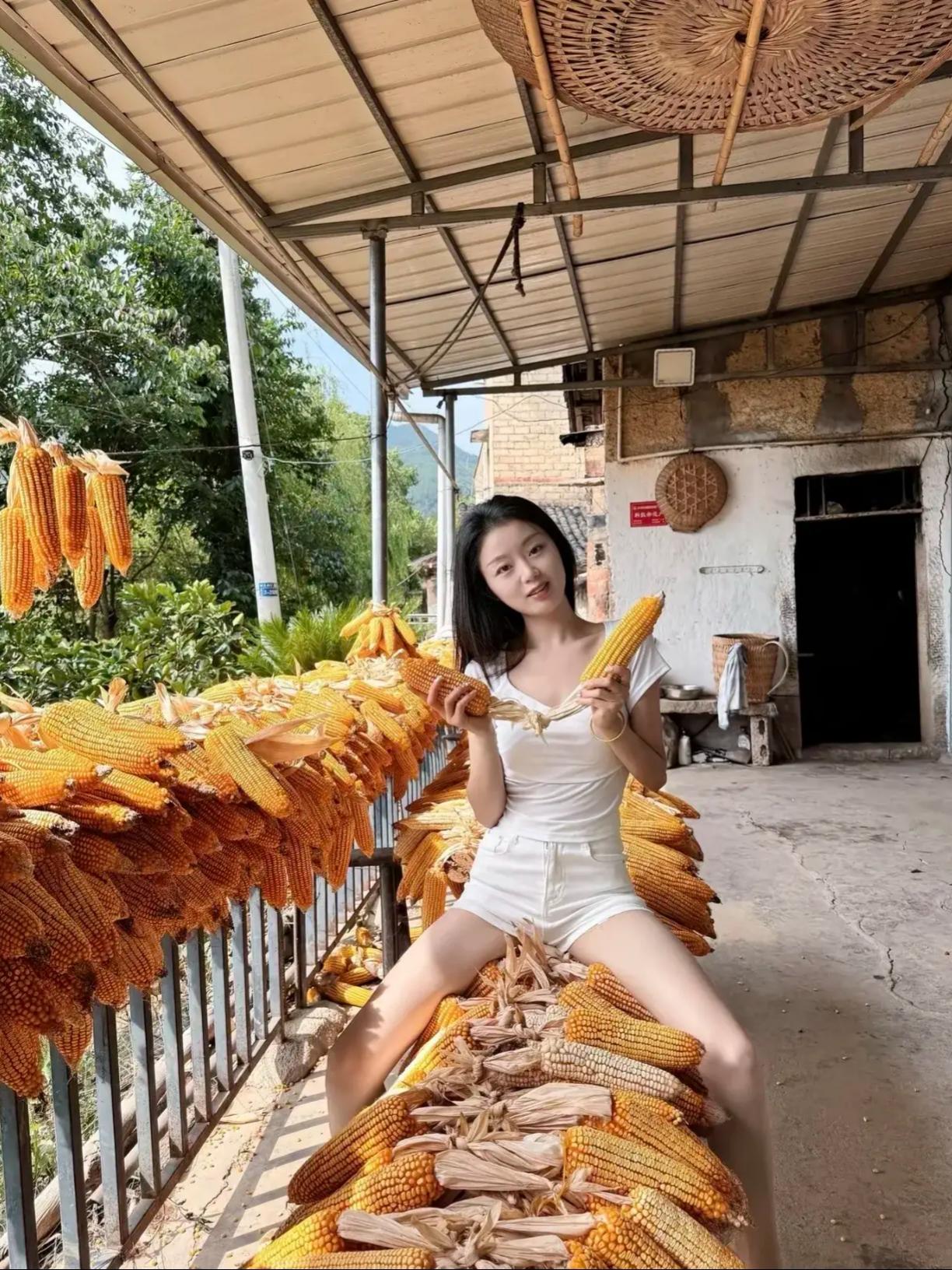 小院的风，都在说想你
——现代诗
 
晨光漫过竹篱笆时
我总在数
你种下的那排向