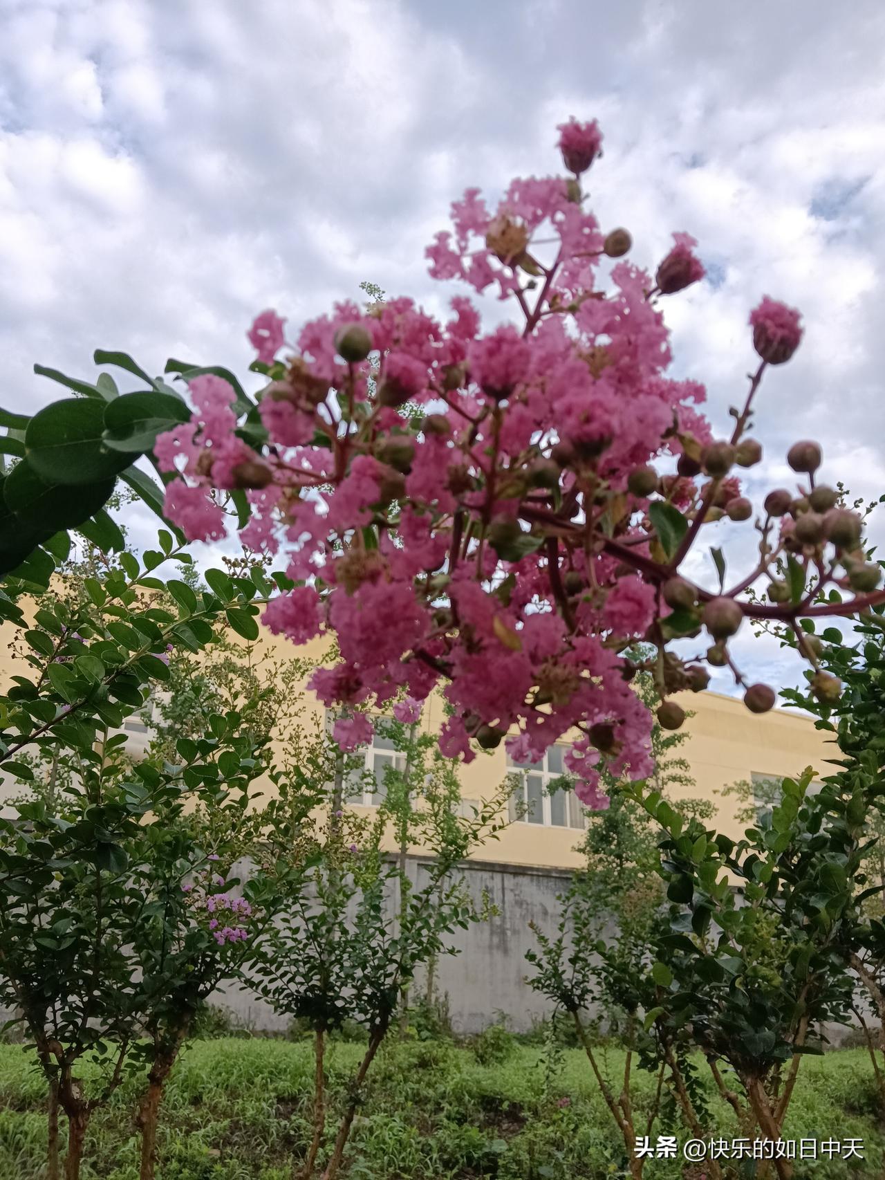 做人要明白
1、别人嫉妒你，说明你很优秀，你嫉妒别人，说明你很无能。
2、有钱人