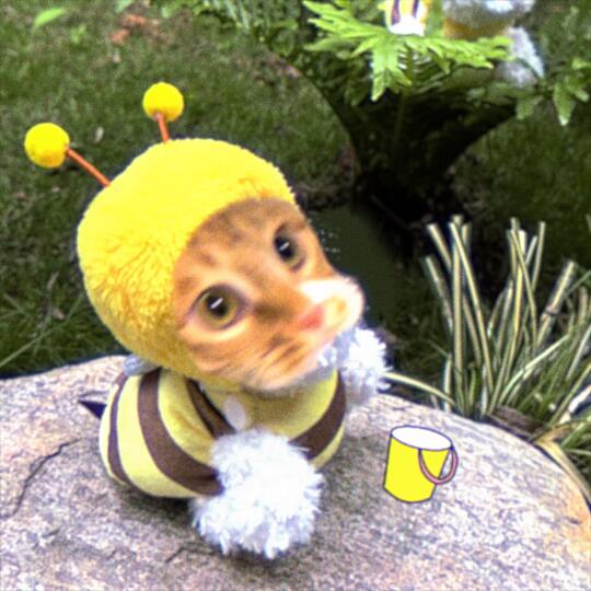 头像｜凸嘴小蜜蜂🐝