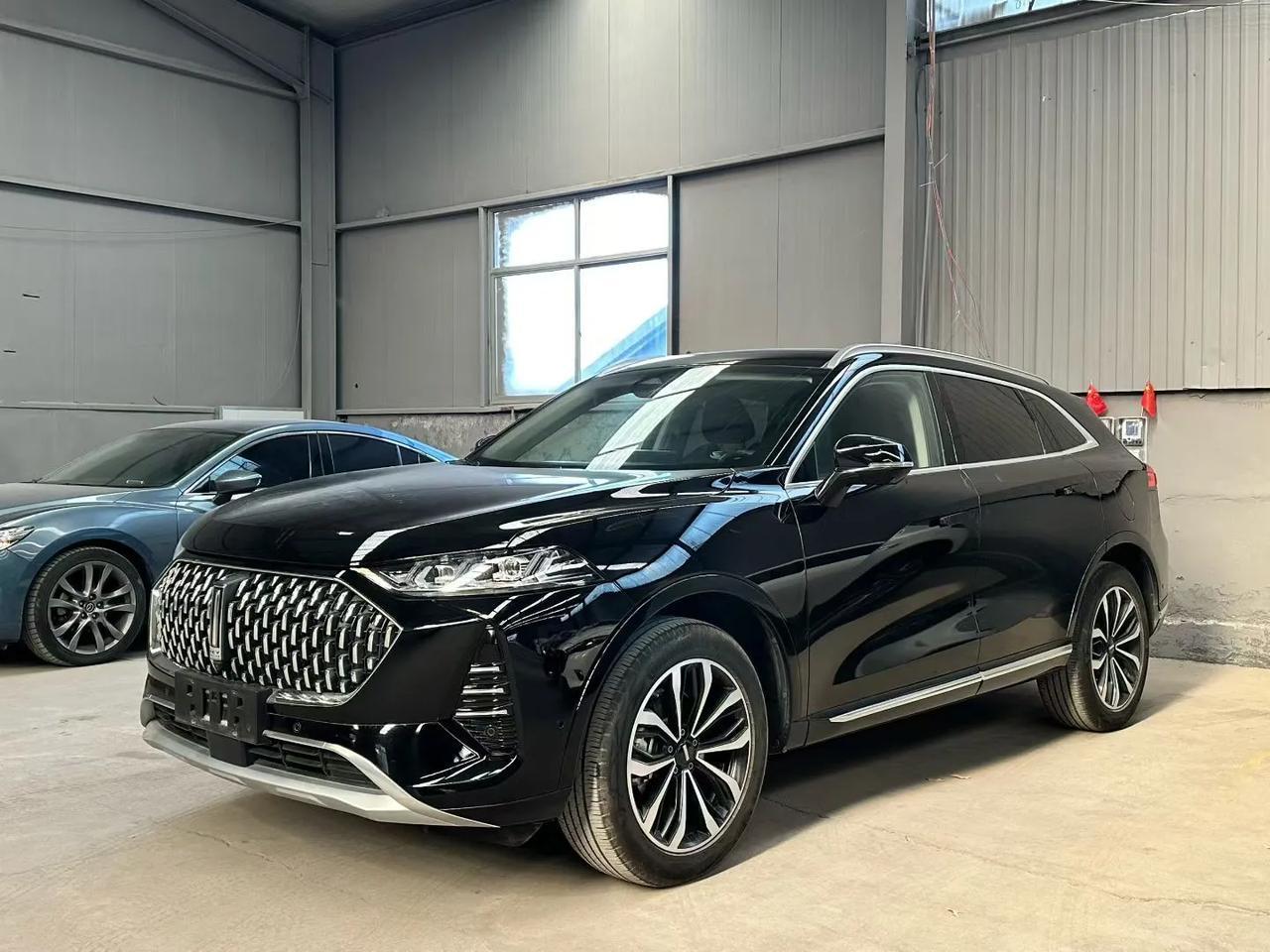 给本地小兄弟淘的21款魏派摩卡，两驱特醇，两驱最高配，2.0T➕48V清混➕九档