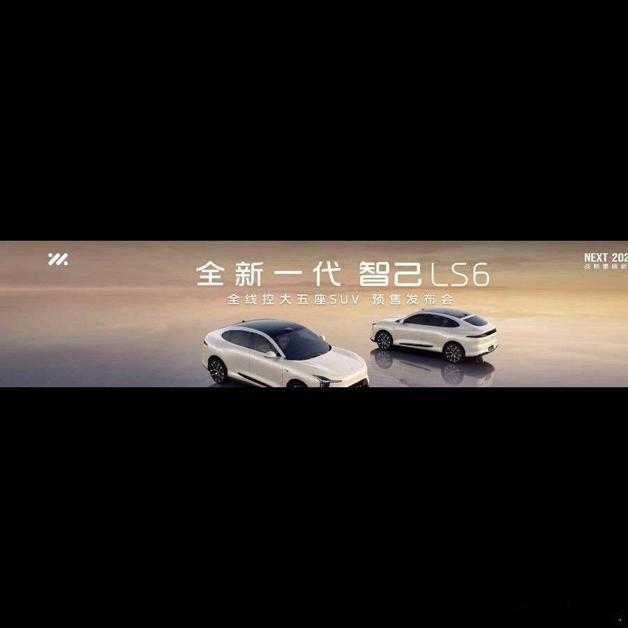 20.99万预售，起步价大概率压到19.99甚至19.49，这定价直接把线控转向
