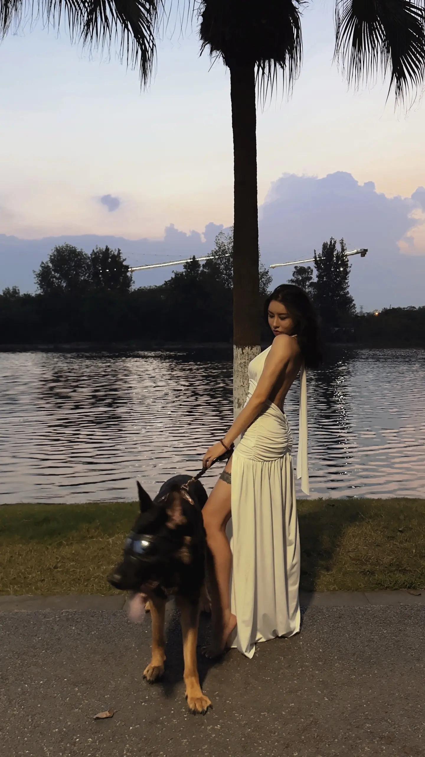 【德牧·巴克】他说的无条件对你好，其实是无经济条件。