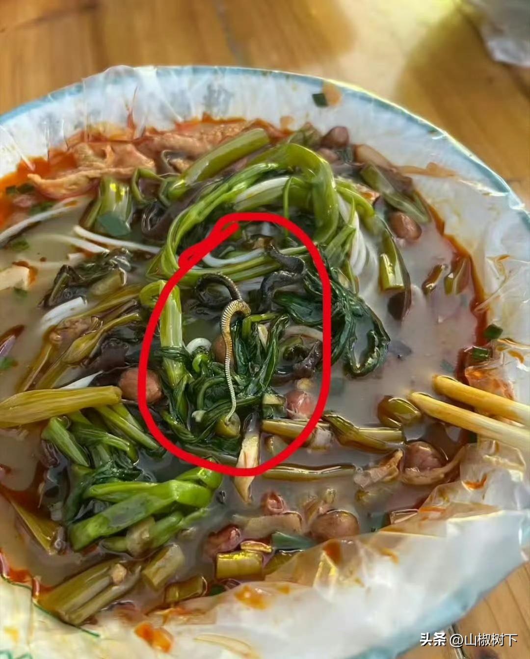吃螺蛳粉吃出蛇来你敢信吗？6月27日，一网友在广西南宁吃螺蛳粉时吃出了一条小蛇，