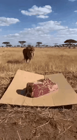 啥时候都不缺看热闹的。