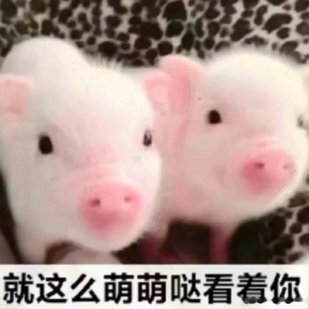 我发现睡得早会很舒服从今天开始我再也不熬夜了 熬夜的是🐽 