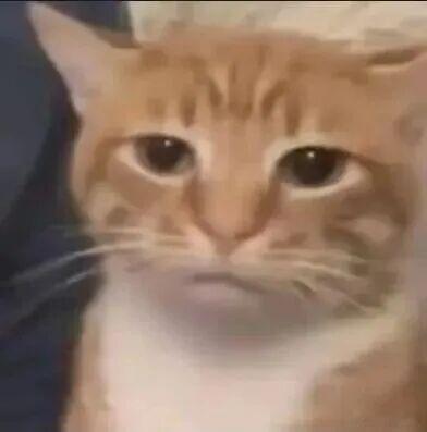 90后能走青衣路线的有吗？就算童瑶勉强算青衣，她也是85代的，90后没有一个花能