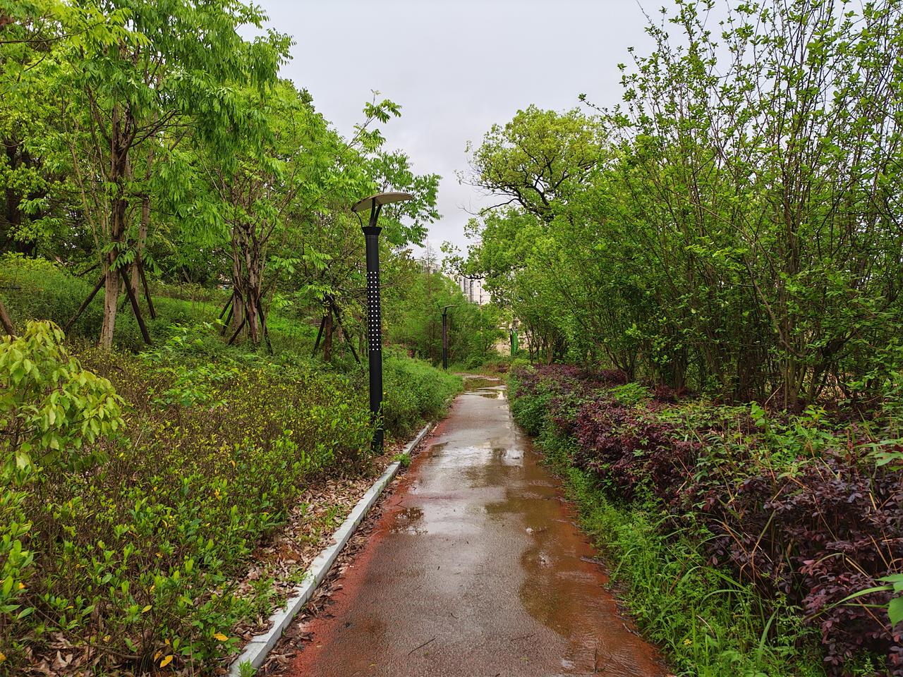 春天来了，万物复苏，天气渐渐变暖，小雨也淅淅沥沥下个不停，处处都透着春日的气息。