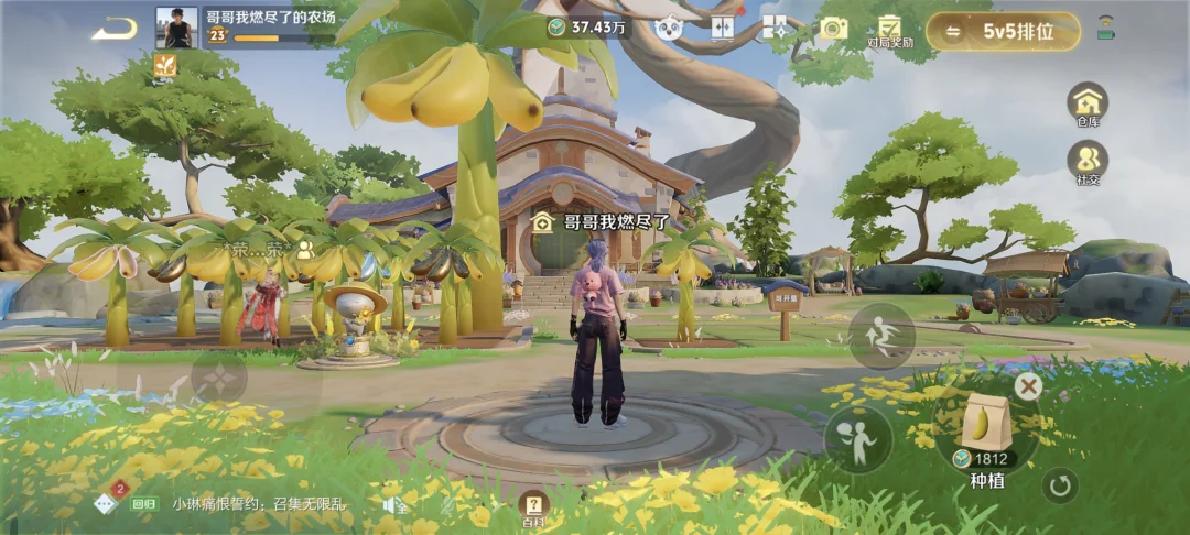 王者农场互偷速来