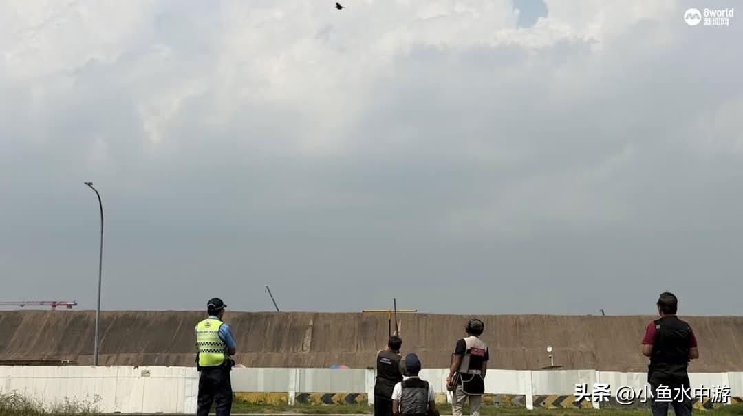 为降低乌鸦攻击事件，新加坡首阶段在裕廊、碧山、榜鹅等九个地区恢复射杀乌鸦行动。当