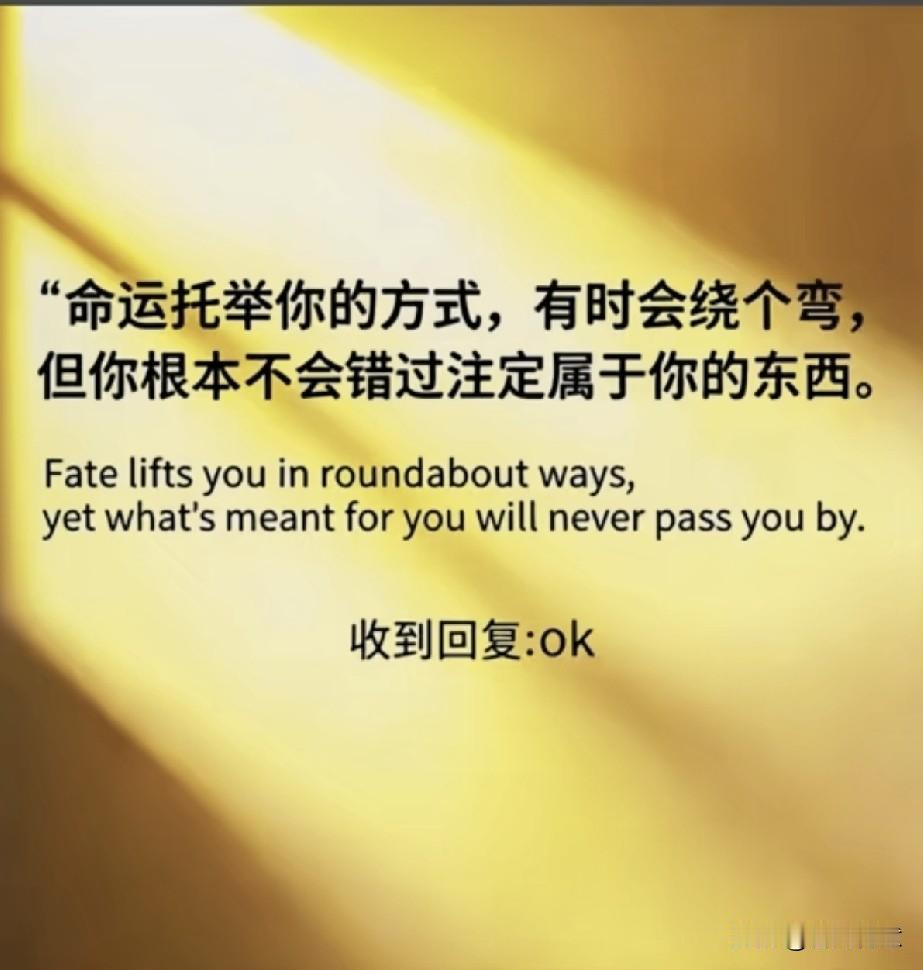 生活总有曲折，但总会找到属于你的路。