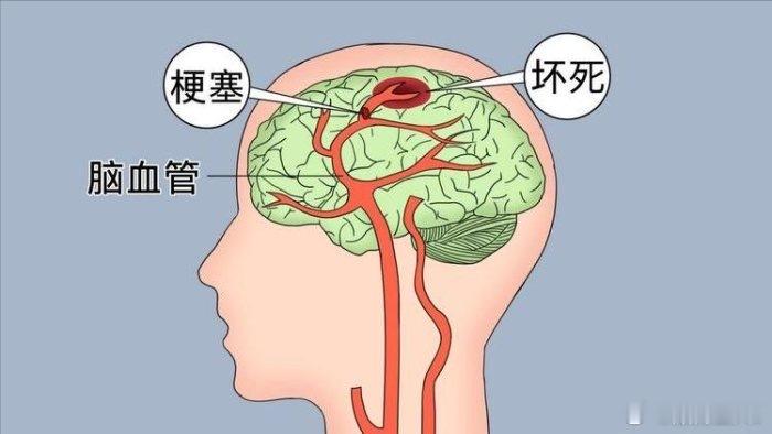 生命的河湾，另一种深邃·默斋主人原创人文科普散文六十二岁，是生命行至一处开阔的河