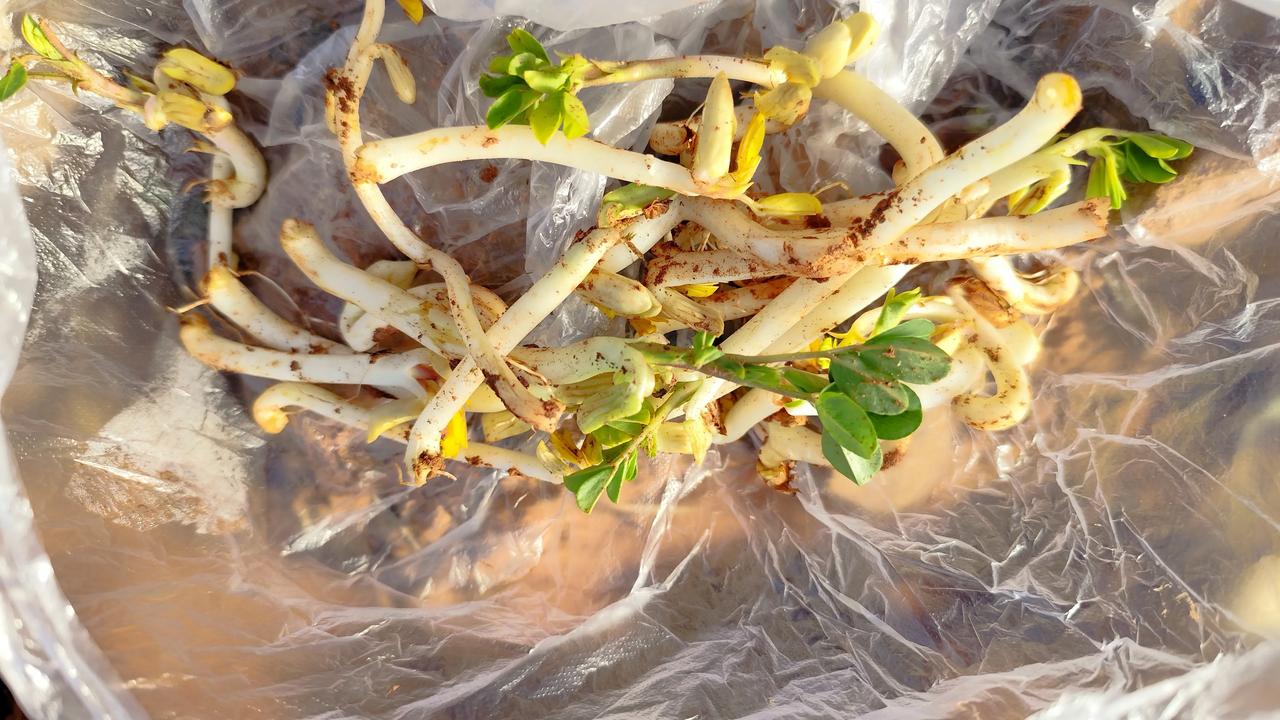 新鲜出炉的照片