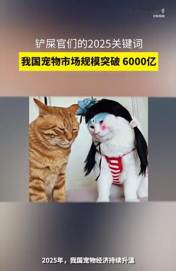 我国宠物市场规模突破6000亿这六千亿的庞大市场，是当代生活最具温度的注脚。宠物