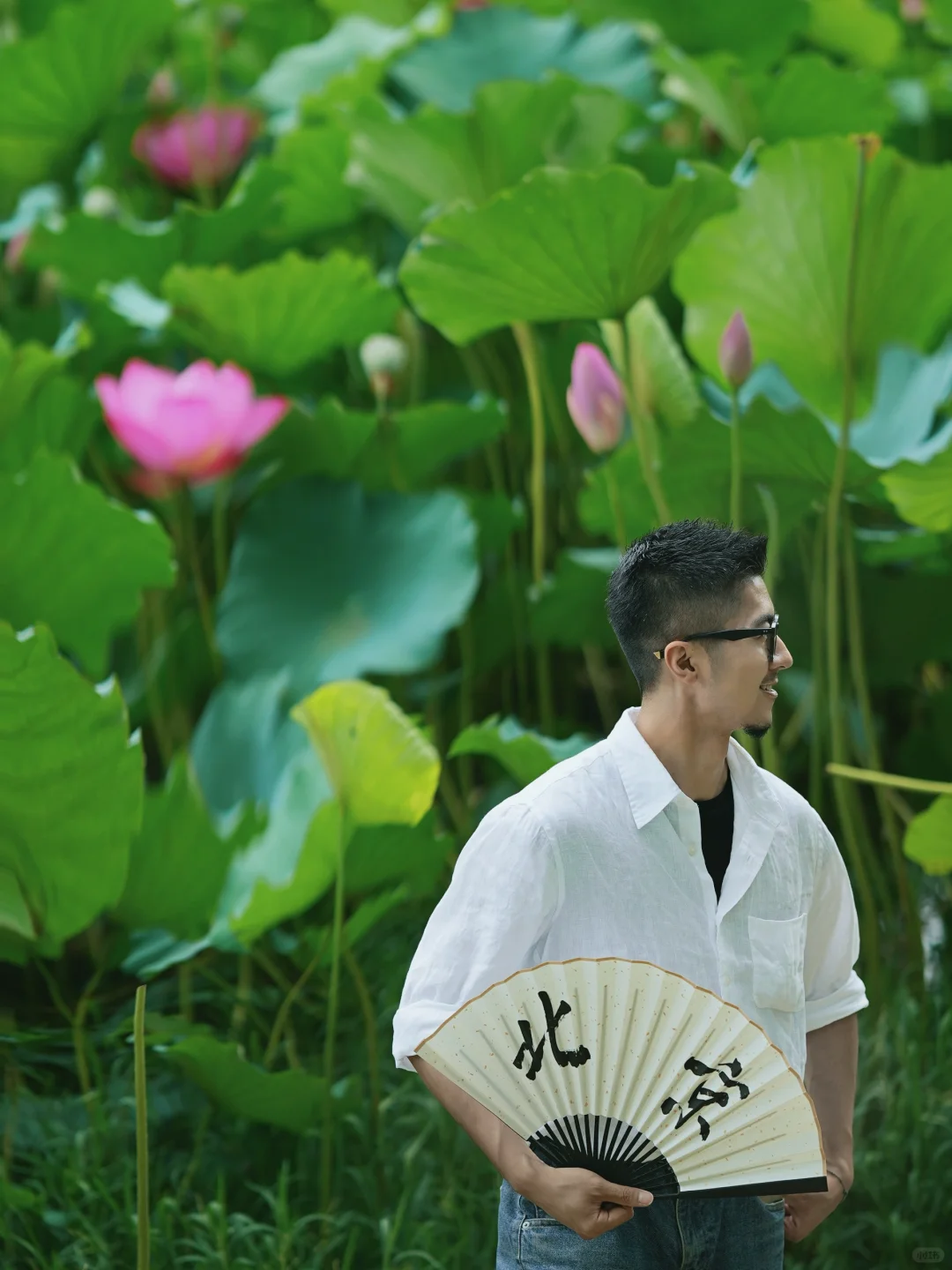 接下来7月这里，我愿称之为北京赏荷天花板🪷