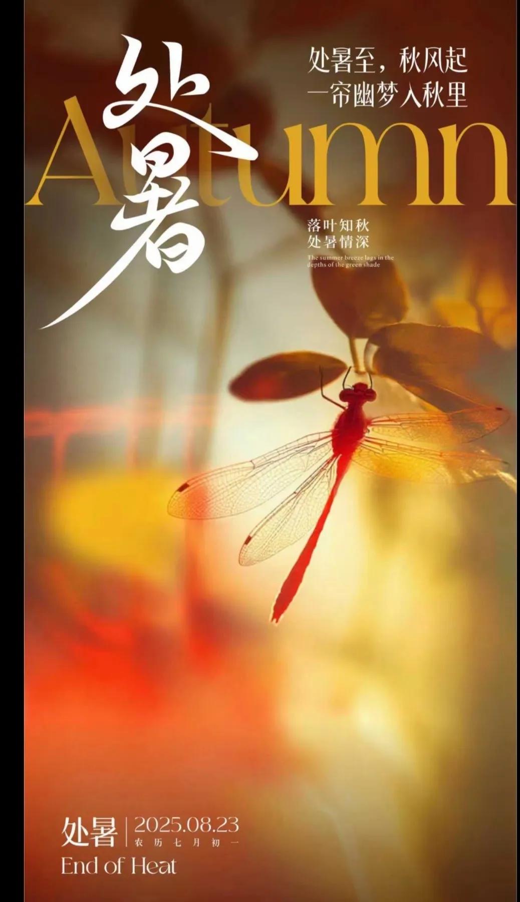 “暑气散，秋意浓”，愿你卸下夏的疲惫，迎接秋的清爽 ，岁月静好。

交接时间是今