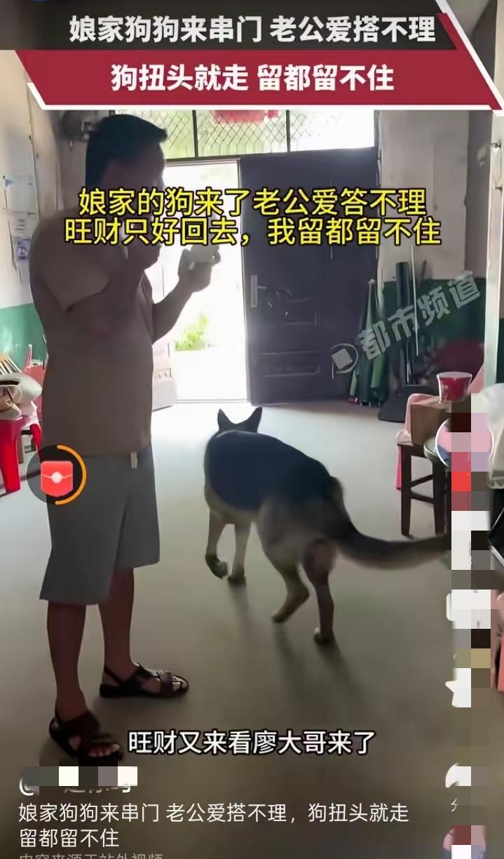湖南的一个农村妇女吐槽，自己嫁在隔壁村里面，每次娘家的狗过来玩，自己不在家，丈夫