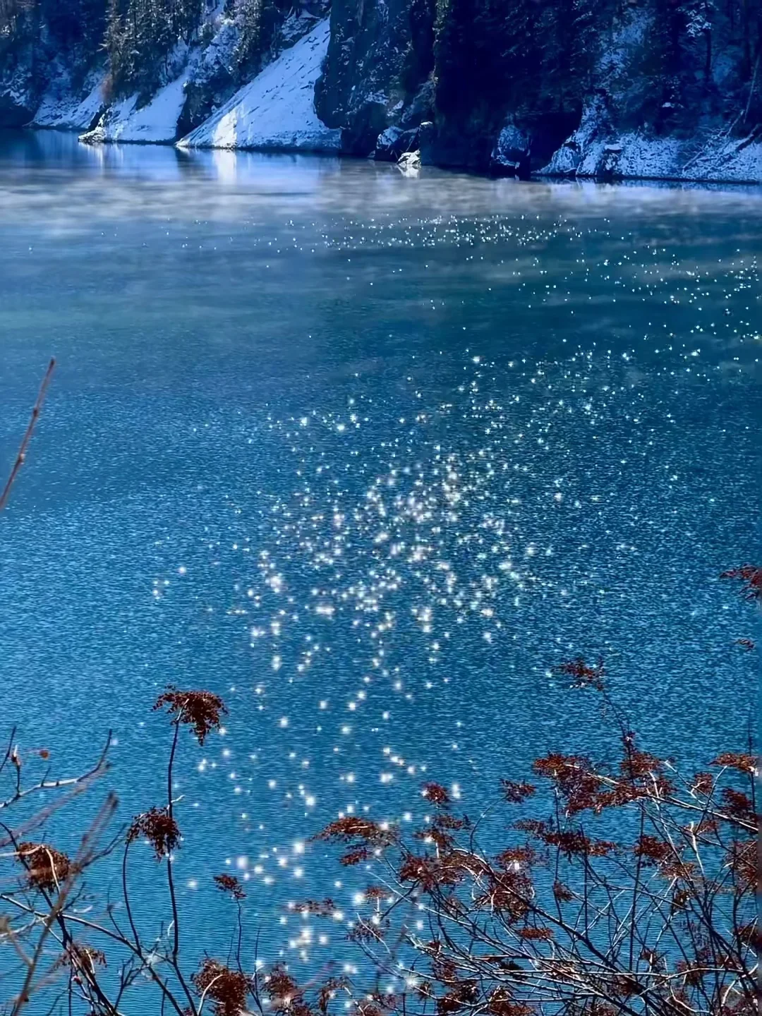 11.28📍九寨沟live实况，真心劝退不了一点。。