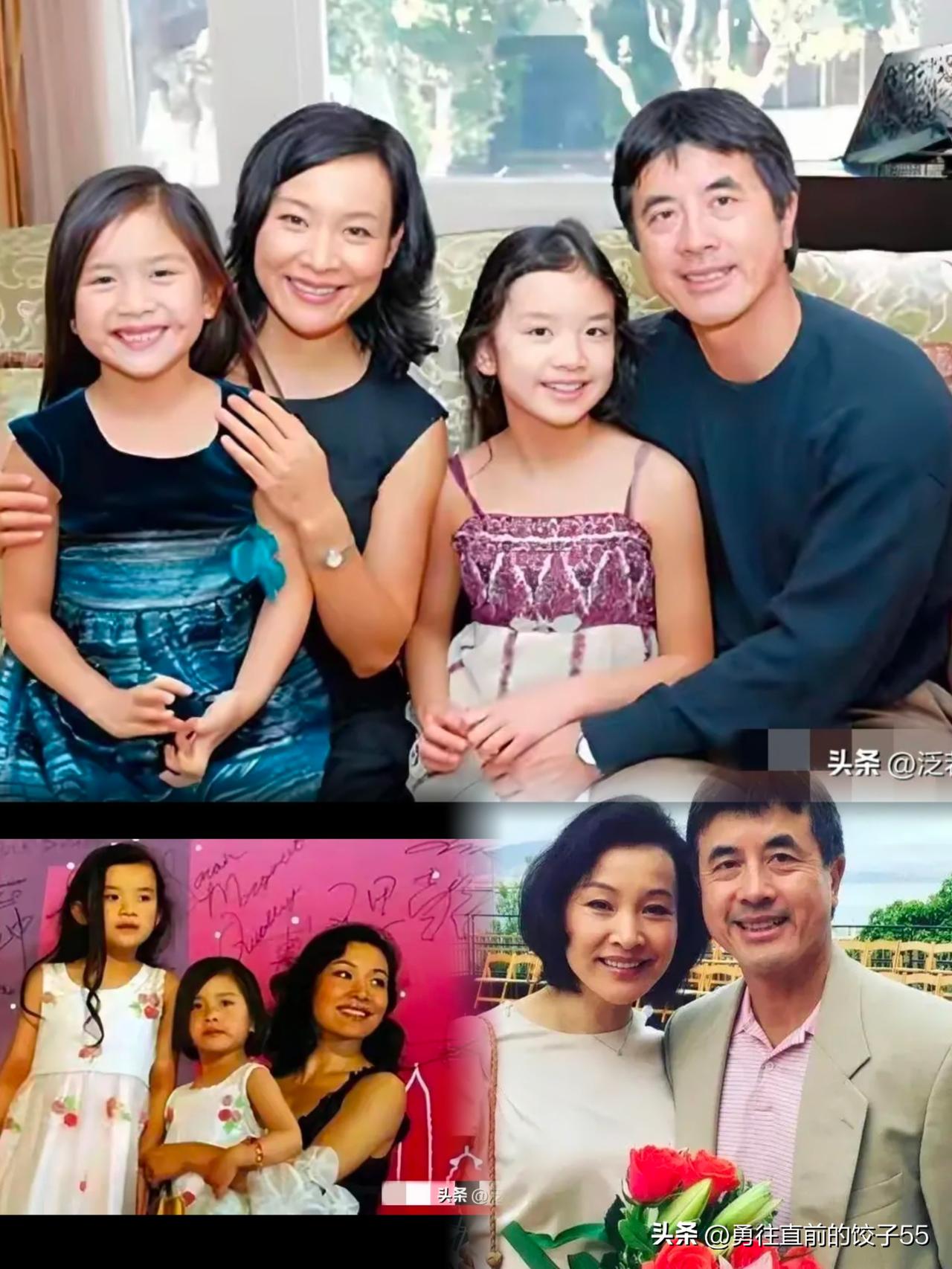 陈冲收养的一对双胞胎女儿，在收养后又弃养。陈冲收养的两个女儿是美国的华裔，收养后